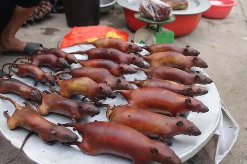 Về H&agrave; Giang, nhớ thưởng thức đặc sản thịt chuột La Ch&iacute; khiến bao người kh&oacute;c th&eacute;t 3