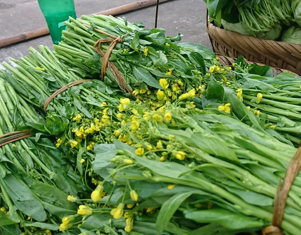 Làm sao quên được lúc thớ lưỡi cay nồng với món rau cải cay Hà Giang