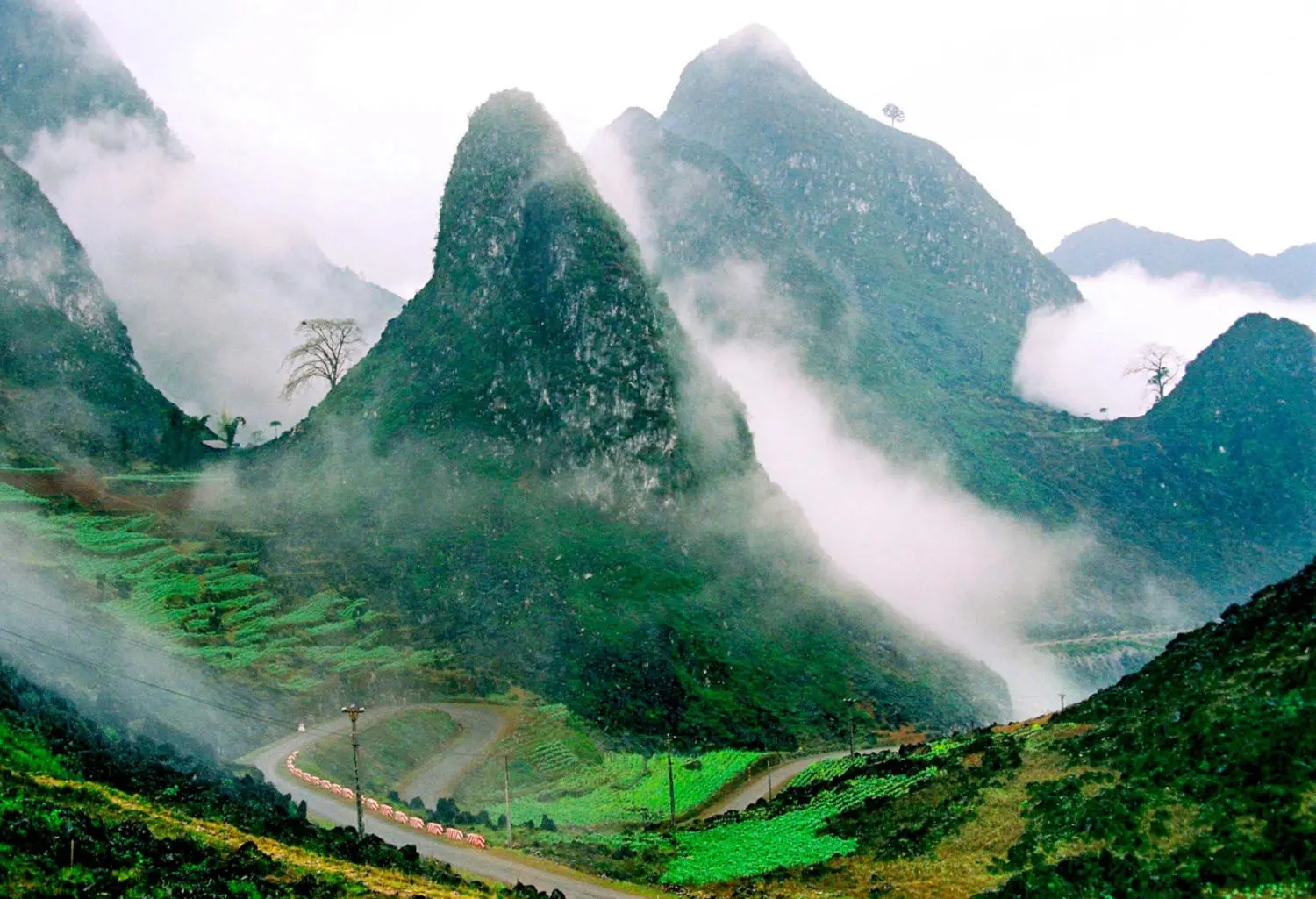 Hướng dẫn đường đi chinh phục H&agrave; Giang từ A đến Z 2