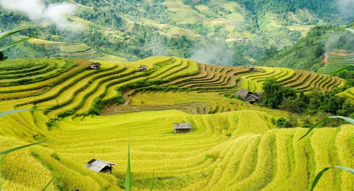 Lịch trình Hà Giang tự túc 2N1Đ từ Hà Nội