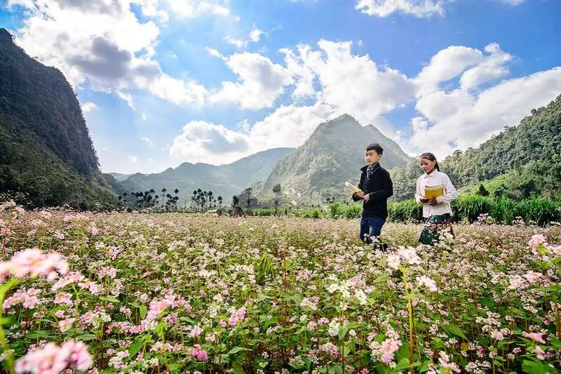 11 cảnh đẹp H&agrave; Giang mang n&eacute;t ấn tượng của miền n&uacute;i ph&iacute;a Bắc 6