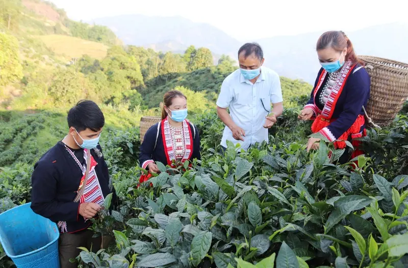 Bắc Quang H&agrave; Giang: Cửa ng&otilde; du lịch mới nơi miền n&uacute;i xa x&ocirc;i 6