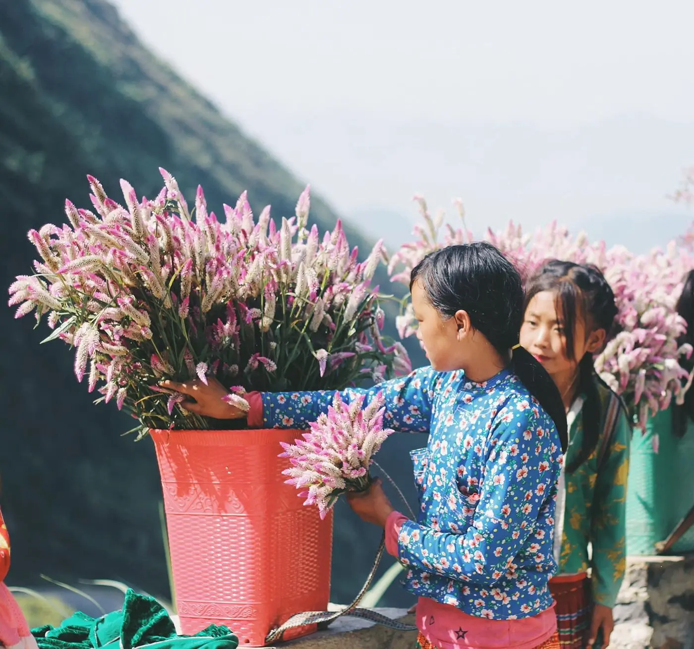 C&ugrave;ng nghe Nguyễn Thị Ngoan review những đứa trẻ v&ugrave;ng cao H&agrave; Giang bạn nh&eacute;! 3