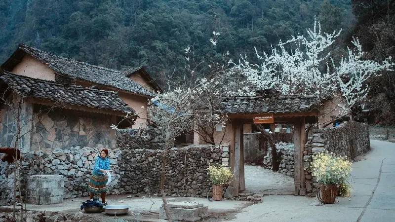 Đến cao nguy&ecirc;n đ&aacute; Đồng Văn cảm nhận sự ưu &aacute;i của thi&ecirc;n nhi&ecirc;n nơi đ&acirc;y 11