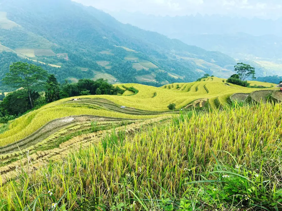 H&agrave; Giang th&aacute;ng 10 đẹp m&ecirc; hồn đốn tim những t&iacute;n đồ m&ecirc; x&ecirc; dịch 4