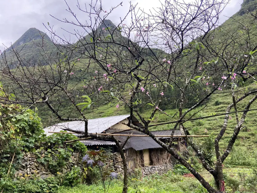 H&agrave; Giang th&aacute;ng 10 đẹp m&ecirc; hồn đốn tim những t&iacute;n đồ m&ecirc; x&ecirc; dịch 3