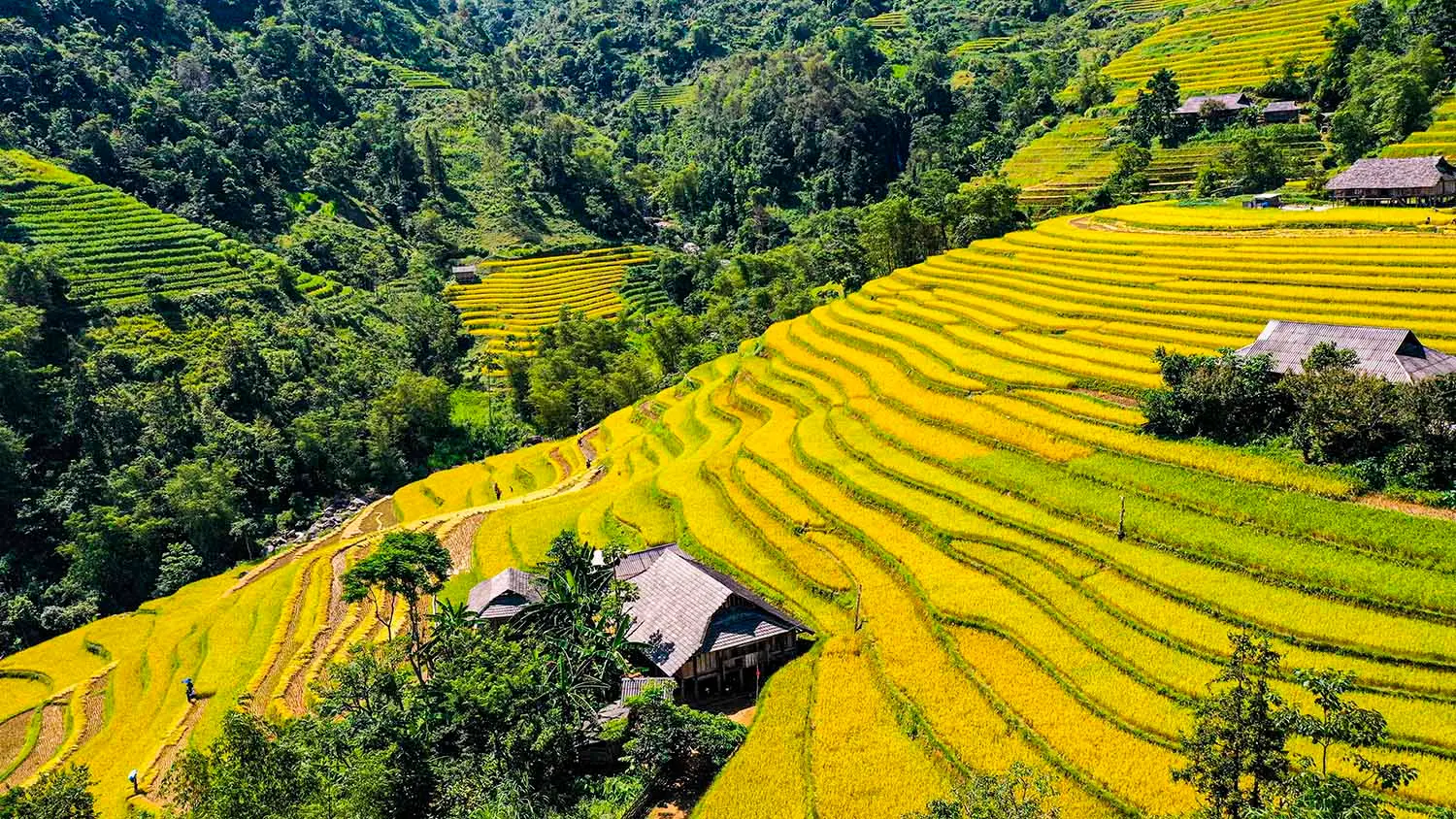 H&agrave;nh tr&igrave;nh kh&aacute;m ph&aacute; v&agrave; review x&atilde; Bản Luốc 3
