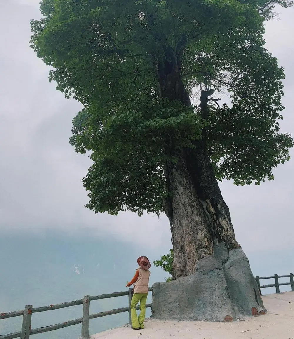 H&agrave;nh tr&igrave;nh Review H&agrave; Giang 2N1D của c&ocirc; n&agrave;ng Phương Thảo c&oacute; g&igrave;? 3