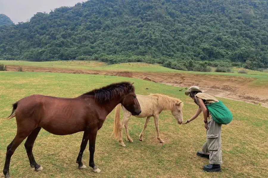 H&agrave;nh tr&igrave;nh vi vu H&agrave; Giang mang theo n&eacute;t đẹp hoang sơ đầy ấn tượng 11
