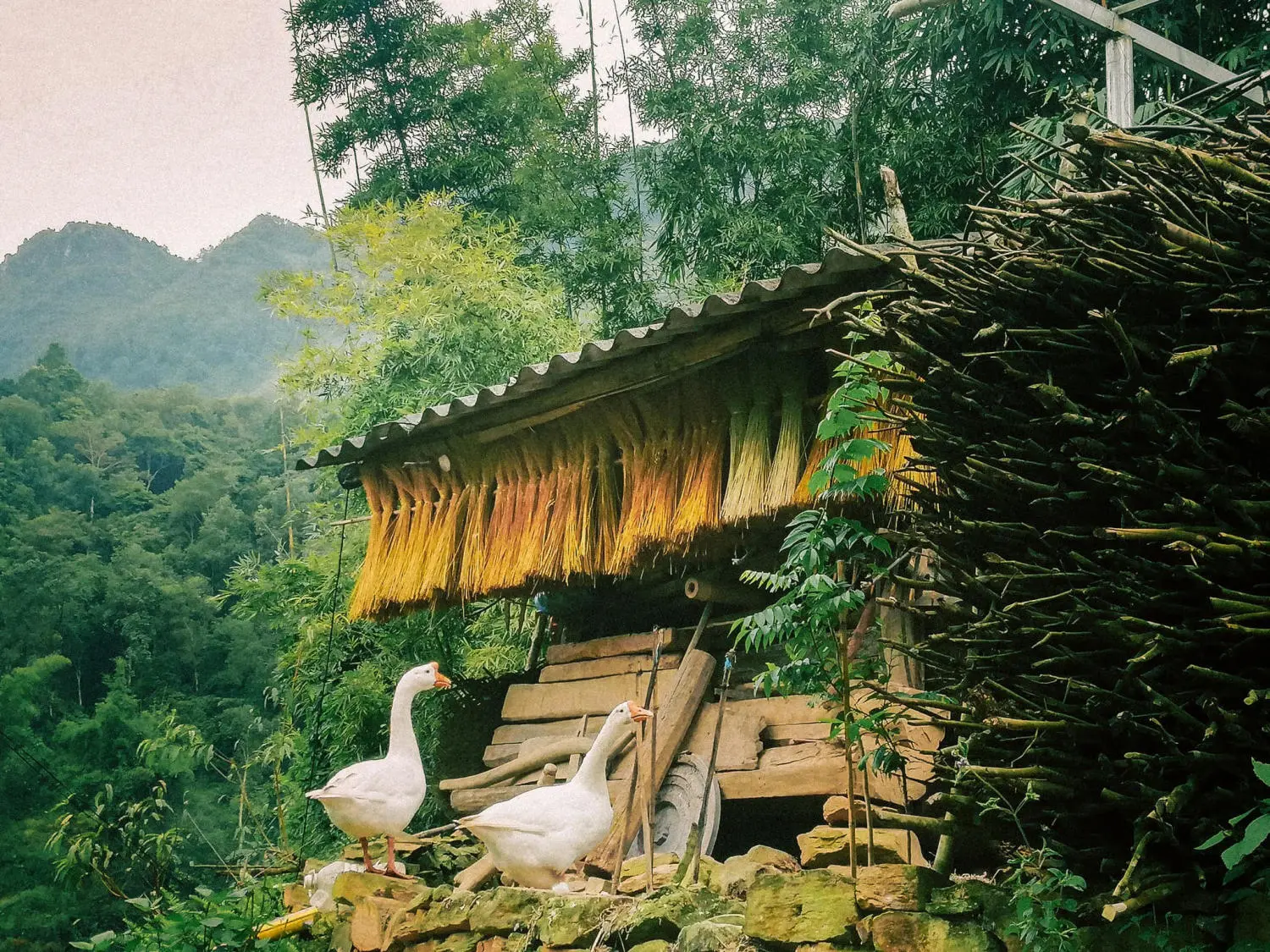 Kh&aacute;m ph&aacute; L&agrave;ng cổ Thi&ecirc;n Hương trăm năm tuổi tr&ecirc;n cao nguy&ecirc;n đ&aacute; Đồng Văn 5