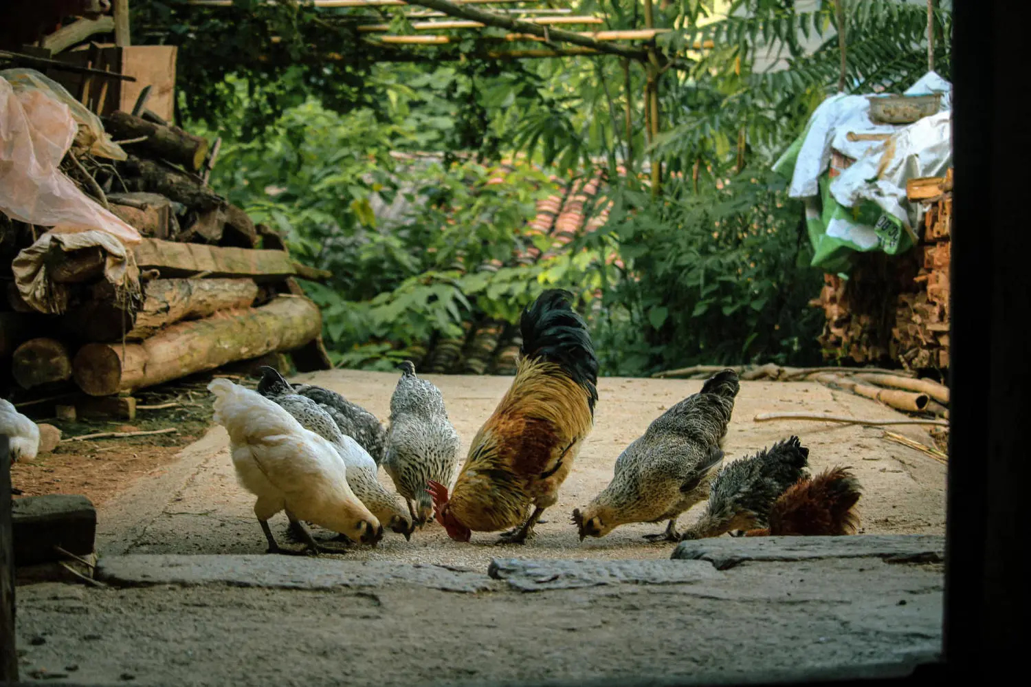 Kh&aacute;m ph&aacute; L&agrave;ng cổ Thi&ecirc;n Hương trăm năm tuổi tr&ecirc;n cao nguy&ecirc;n đ&aacute; Đồng Văn 7