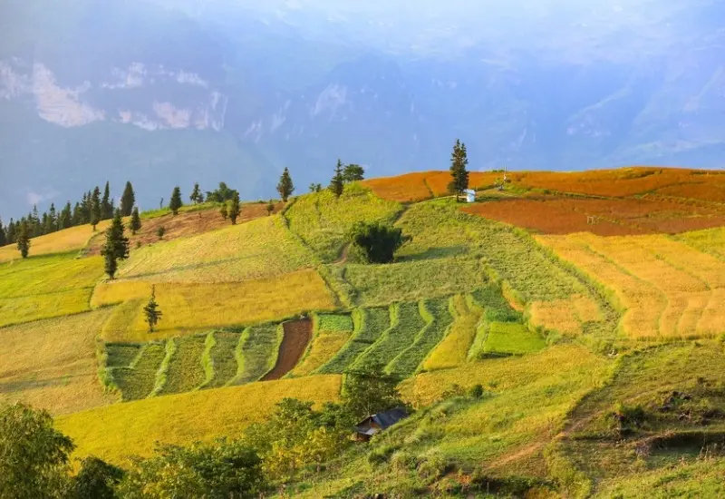 Kh&aacute;m ph&aacute; Su&ocirc;i Thầu: &ldquo;Thảo nguy&ecirc;n ch&acirc;u &Acirc;u&rdquo; giữa l&ograve;ng H&agrave; Giang 10