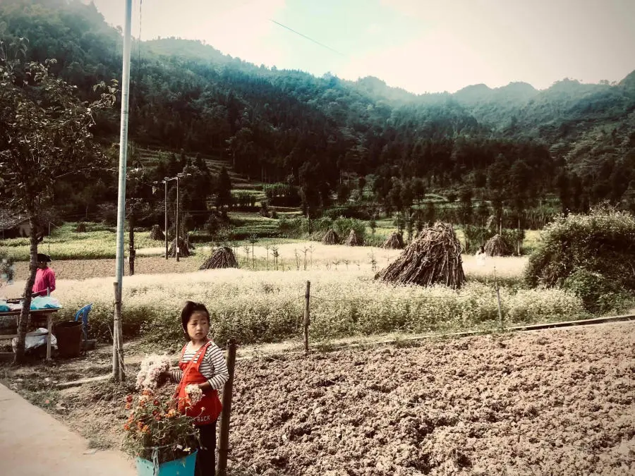 Kh&aacute;m ph&aacute; Vẻ đẹp H&agrave; Giang qua những điều nhỏ b&eacute; 6