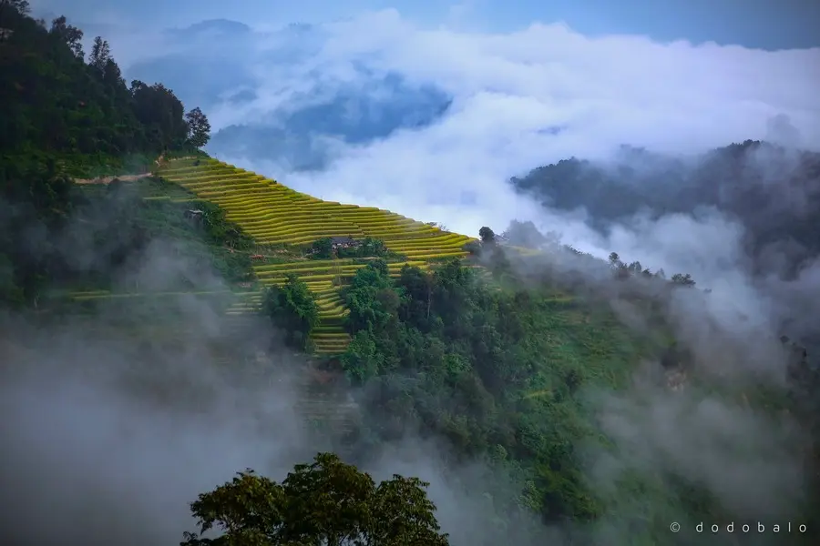 Lạc v&agrave;o Bản Ph&ugrave;ng, chốn ti&ecirc;n cảnh với vẻ đẹp say đắm l&ograve;ng người 4