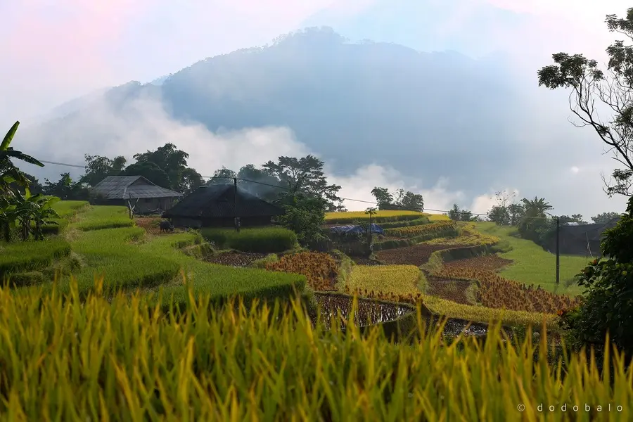 Lạc v&agrave;o Bản Ph&ugrave;ng, chốn ti&ecirc;n cảnh với vẻ đẹp say đắm l&ograve;ng người 7