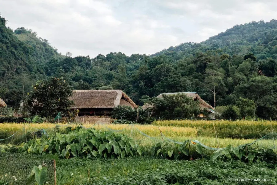 L&agrave;ng qu&ecirc; H&agrave; Giang y&ecirc;n b&igrave;nh v&agrave;o mỗi buổi chiều tr&ecirc;n cao nguy&ecirc;n đ&aacute; 13