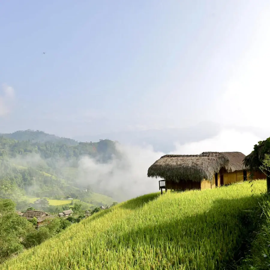 Loạn nhịp trước Ho&agrave;ng Su Ph&igrave; m&ugrave;a l&uacute;a ch&iacute;n đẹp đến nao l&ograve;ng 5