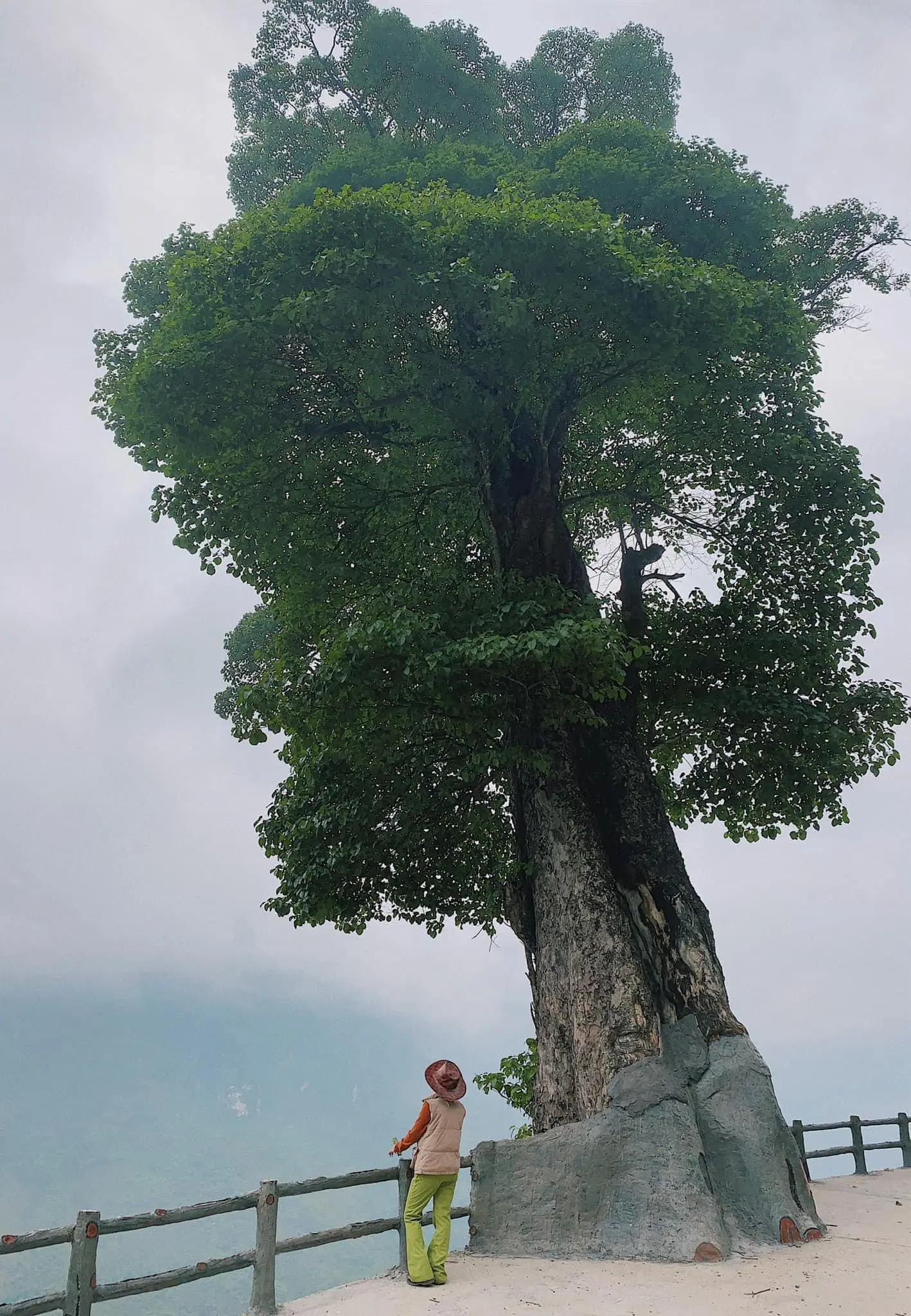 Một ng&agrave;y Lang thang H&agrave; Giang kh&aacute;m ph&aacute; v&ocirc; v&agrave;n điểm đến tuyệt đẹp 9