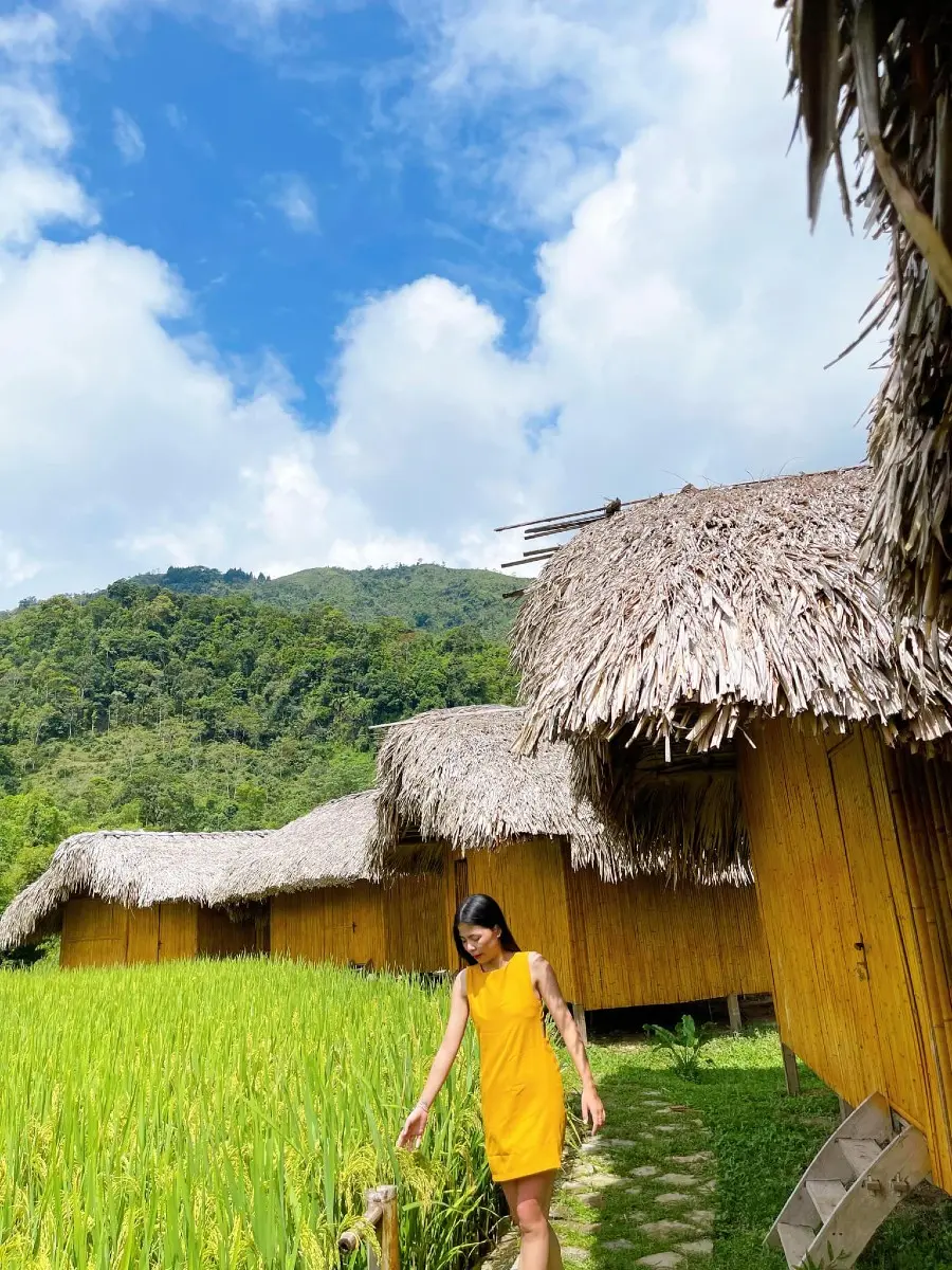 M&ugrave;a l&uacute;a v&agrave;ng ở Ho&agrave;ng Su Ph&igrave;, thời điểm khiến hội sống ảo m&ecirc; mẩn 7