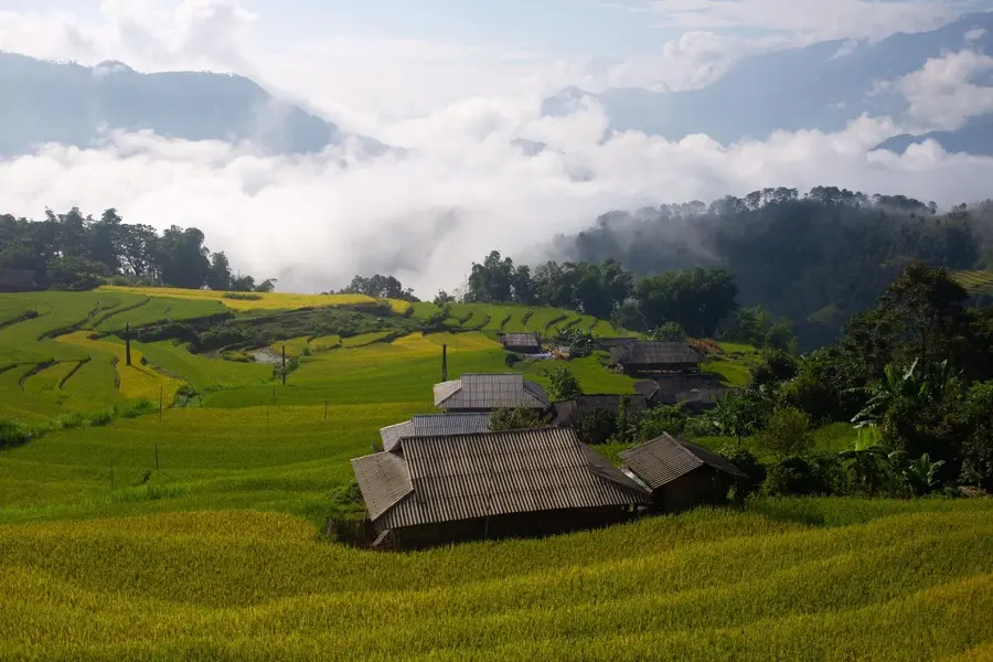 M&ugrave;a v&agrave;ng Ho&agrave;ng Su Ph&igrave; cực l&atilde;ng mạn trong từng bức ảnh của bạn Thu Hương 4