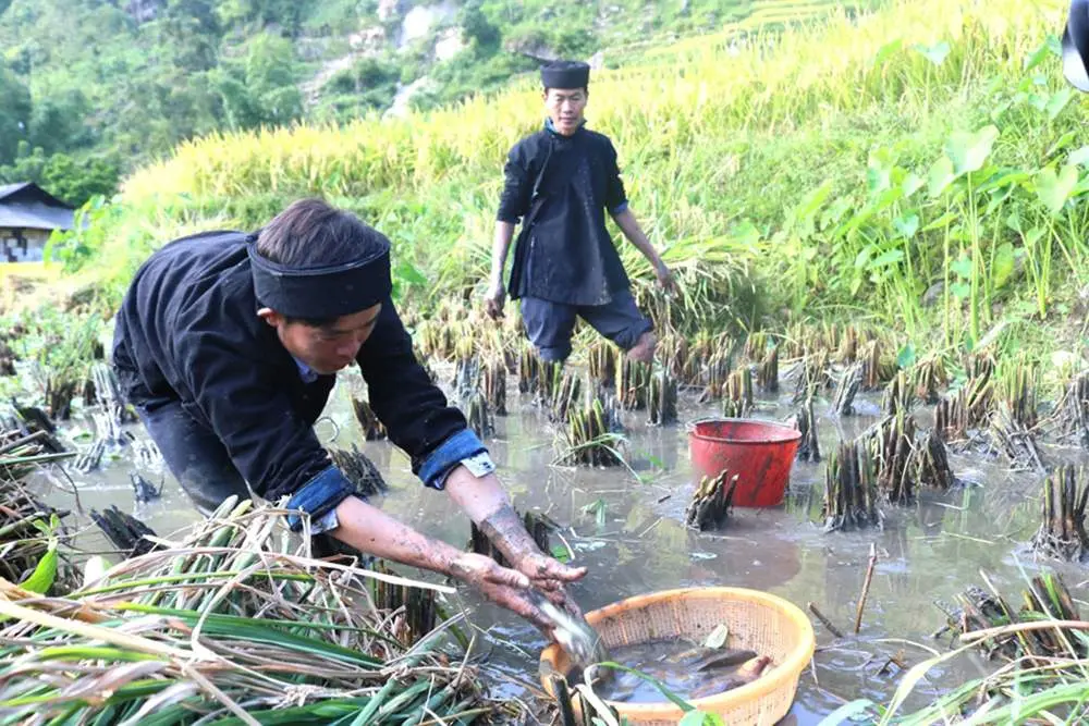 Review Bản Ph&ugrave;ng - Bức tranh thi&ecirc;n nhi&ecirc;n v&agrave; con người La Ch&iacute; 7