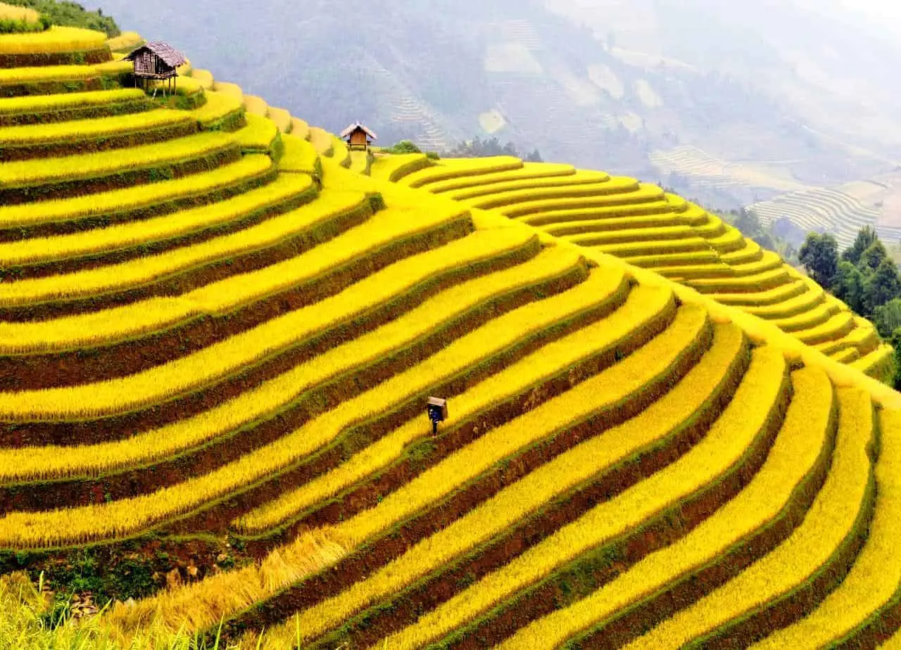 Review chuyến đi H&agrave; Giang si&ecirc;u ngọt ng&agrave;o từ cặp đ&ocirc;i H&agrave;n - Việt 4