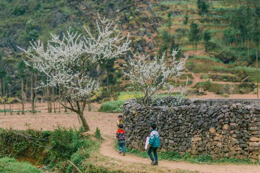 Review H&agrave; Giang, kh&aacute;m ph&aacute; bức tranh đời thường nơi cao nguy&ecirc;n đ&aacute; b&igrave;nh y&ecirc;n 6