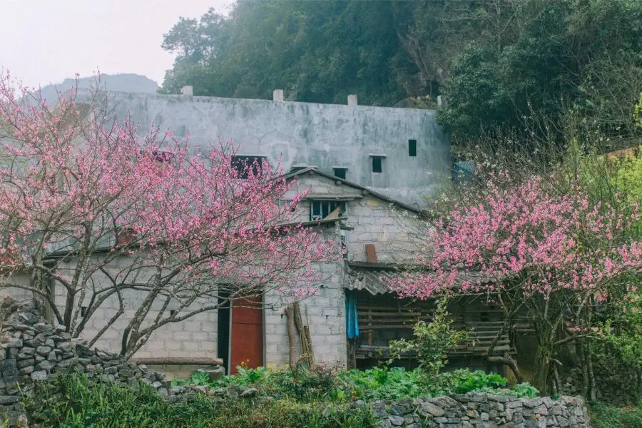 Review H&agrave; Giang, kh&aacute;m ph&aacute; bức tranh đời thường nơi cao nguy&ecirc;n đ&aacute; b&igrave;nh y&ecirc;n 3