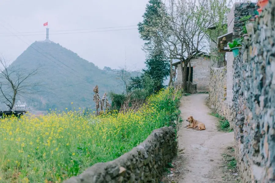 Review H&agrave; Giang, kh&aacute;m ph&aacute; bức tranh đời thường nơi cao nguy&ecirc;n đ&aacute; b&igrave;nh y&ecirc;n 5
