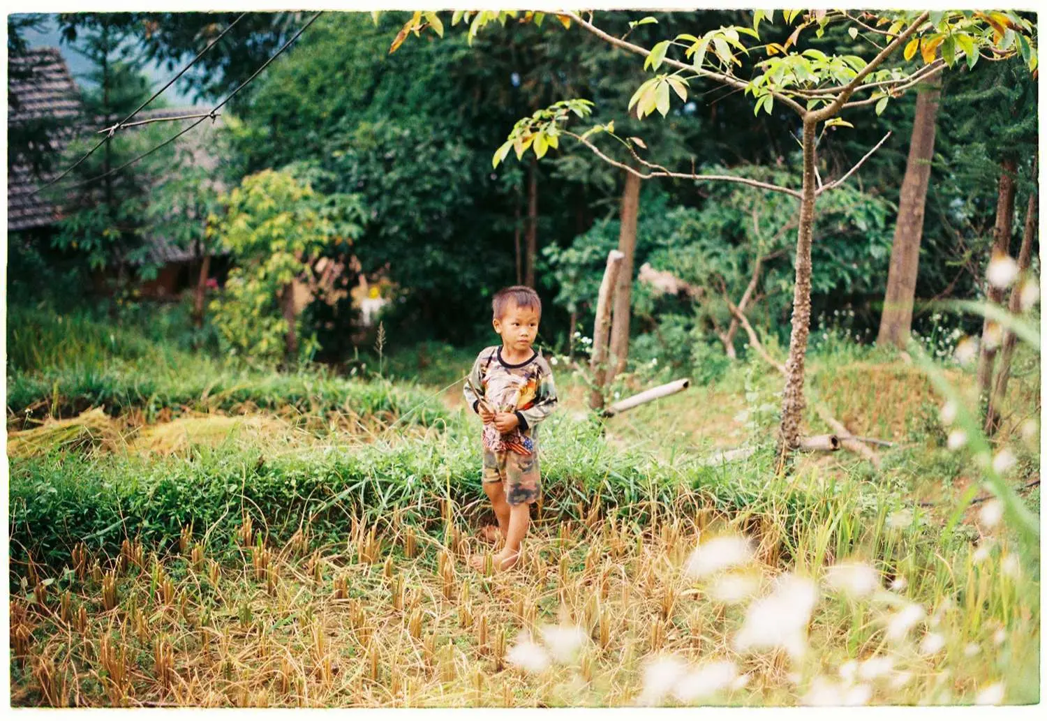 Review một H&agrave; Giang thật b&igrave;nh y&ecirc;n v&agrave; thơ mộng 3