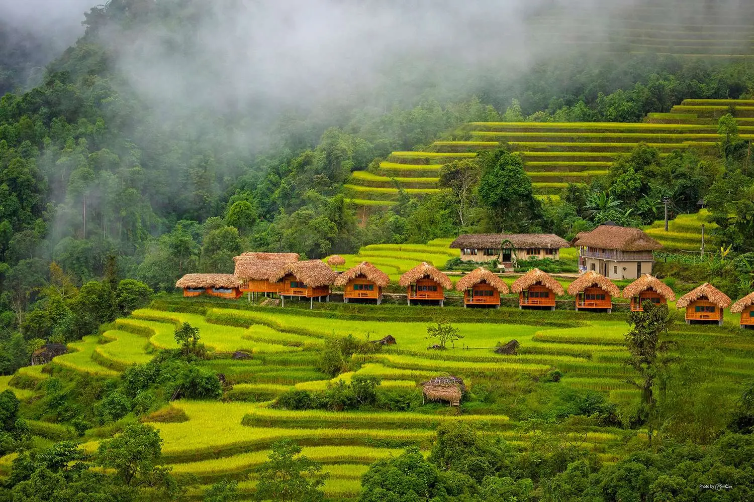 Review m&ugrave;a thu ở Ho&agrave;ng Su Ph&igrave; với vẻ đẹp như ti&ecirc;n cảnh 3