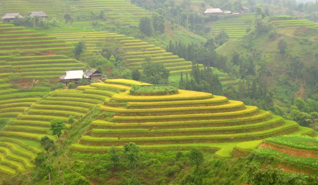 Review x&atilde; Hồ Thầu v&agrave; những kinh nghiệm du lịch Ho&agrave;ng Su Ph&igrave; 3