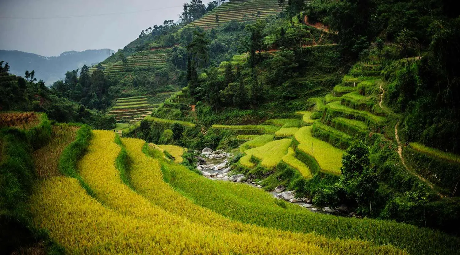 Review x&atilde; Hồ Thầu v&agrave; những kinh nghiệm du lịch Ho&agrave;ng Su Ph&igrave; 4
