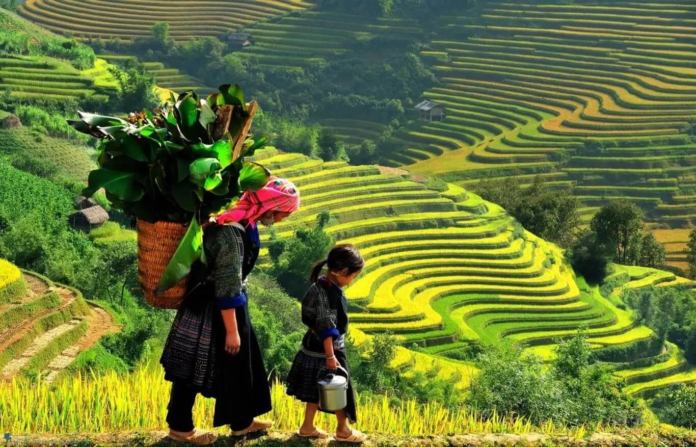 Review x&atilde; Hồ Thầu v&agrave; những kinh nghiệm du lịch Ho&agrave;ng Su Ph&igrave; 9