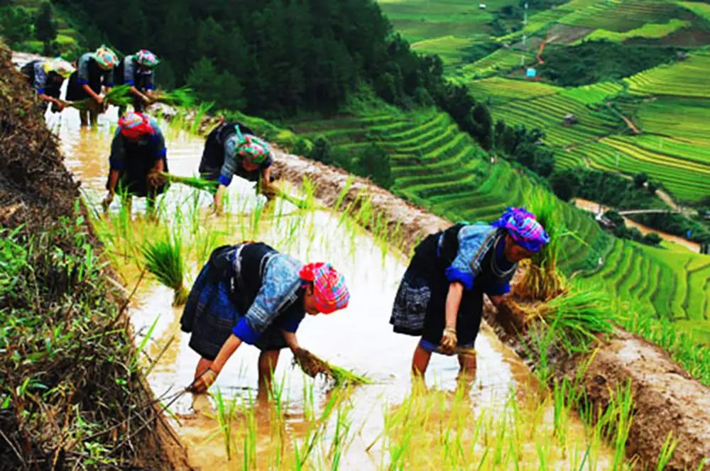 Review x&atilde; Hồ Thầu v&agrave; những kinh nghiệm du lịch Ho&agrave;ng Su Ph&igrave; 11