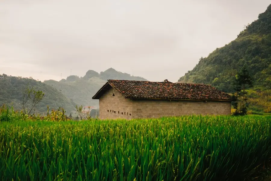 T&igrave;m về L&ocirc; L&ocirc; Chải, điểm đến b&igrave;nh dị khuất sau n&uacute;i rừng H&agrave; Giang 3