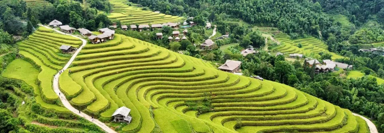 Loạn nhịp trước Hoàng Su Phì mùa lúa chín đẹp đến nao lòng