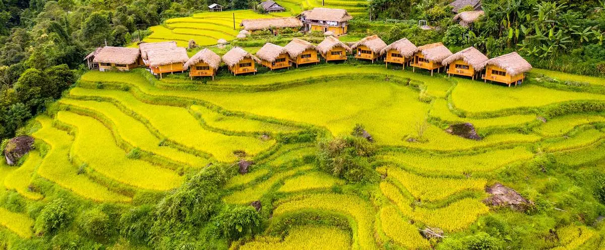 Review mùa thu ở Hoàng Su Phì với vẻ đẹp như tiên cảnh