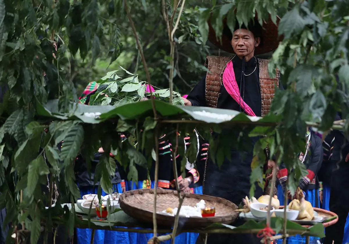 Lễ c&uacute;ng Thần Rừng - Lễ hội độc đ&aacute;o tại H&agrave; Giang của người Pu P&eacute;o 6