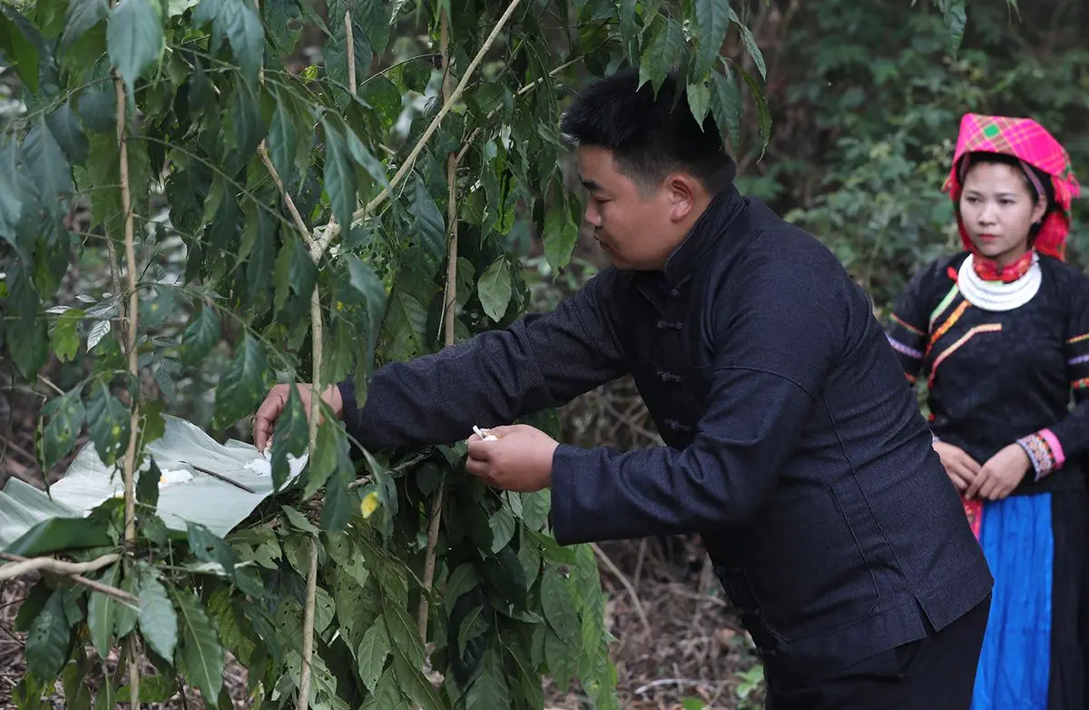 Lễ c&uacute;ng Thần Rừng - Lễ hội độc đ&aacute;o tại H&agrave; Giang của người Pu P&eacute;o 3