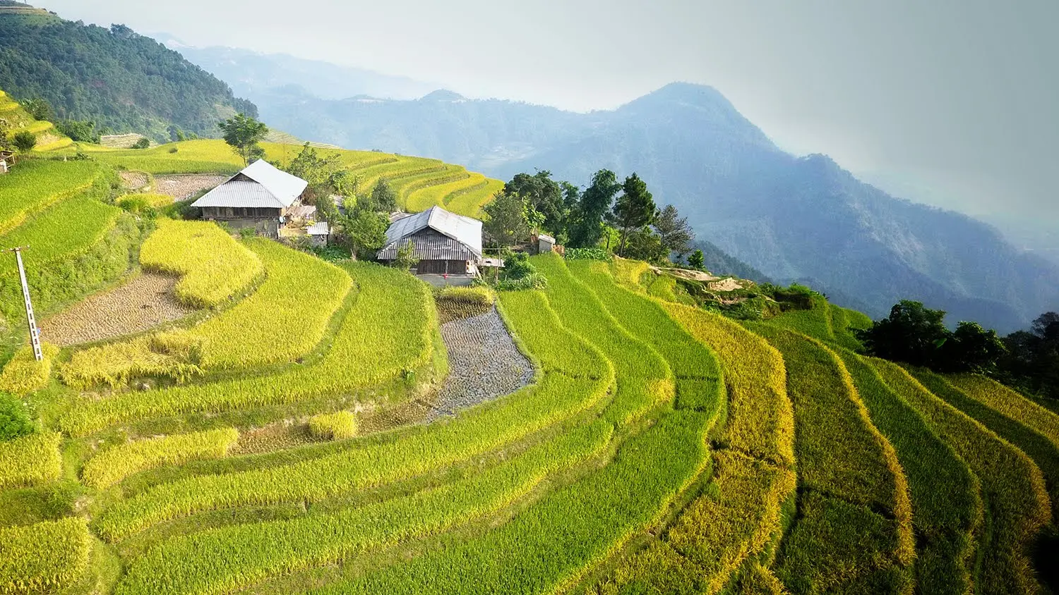 Lễ hội Ho&agrave;ng Su Ph&igrave; - N&eacute;t đẹp lễ hội tr&ecirc;n c&aacute;c d&atilde;y ruộng bậc thang 3