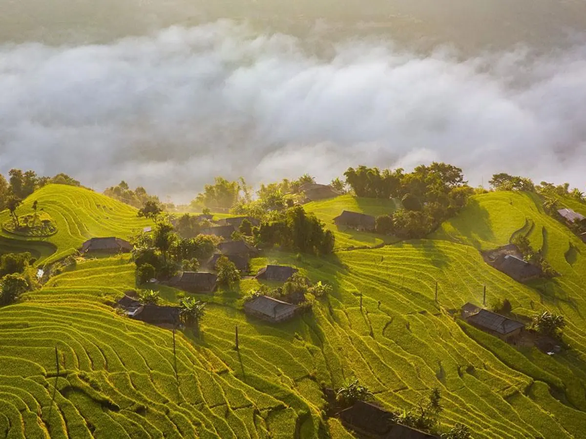 Bật m&iacute; cụ thể Lịch tr&igrave;nh trekking Ho&agrave;ng Su Ph&igrave; 3N2Đ d&agrave;nh cho hội &lsquo;ma mới&rsquo; 6