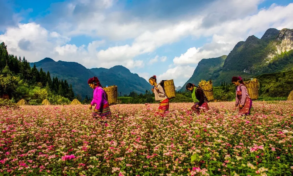 Bỏ t&uacute;i lịch tr&igrave;nh H&agrave; Giang tự t&uacute;c 2N1Đ gi&aacute; rẻ cực chi tiết 2