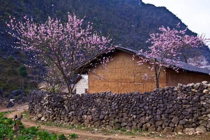 Bỏ t&uacute;i ngay lịch tr&igrave;nh kh&aacute;m ph&aacute; H&agrave; Giang 3N2Đ cực chi tiết 4