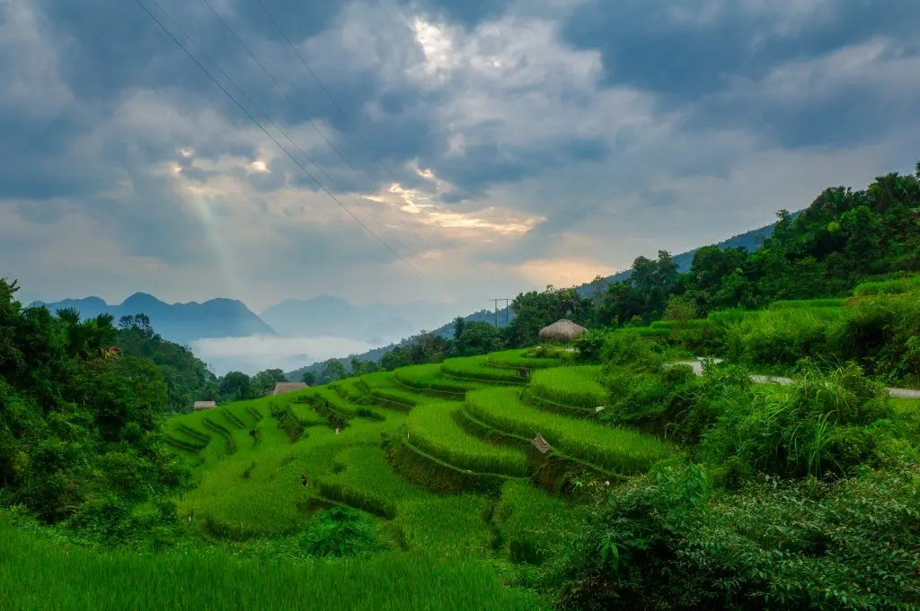 Bỏ t&uacute;i ngay Lịch tr&igrave;nh kh&aacute;m ph&aacute; Khuổi My m&ugrave;a l&uacute;a ch&iacute;n 2
