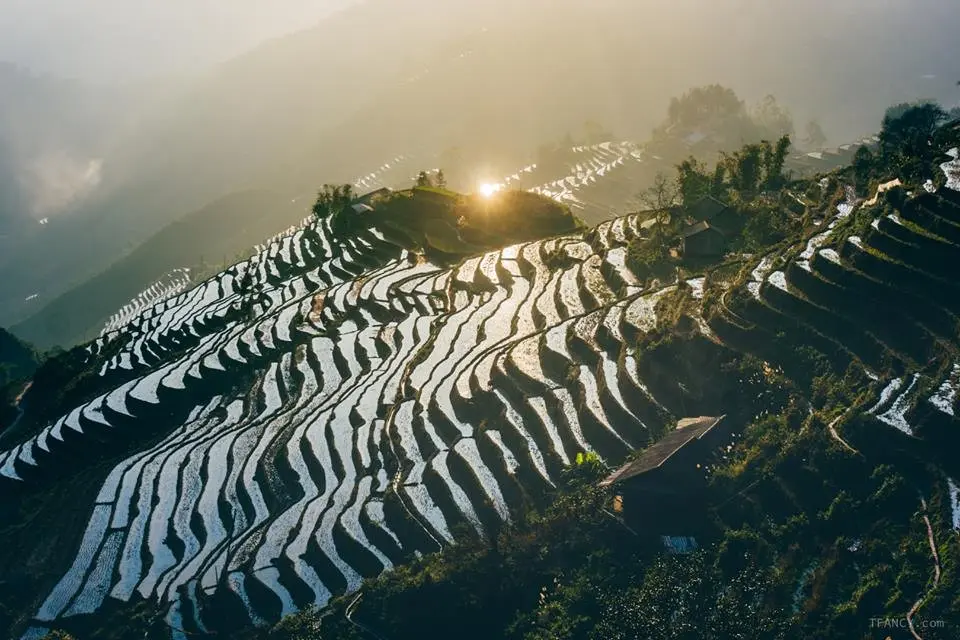 Chinh phục miền đất vỏ cây vàng với lịch trình trekking Hoàng Su Phì tự túc 3N2Đ 3