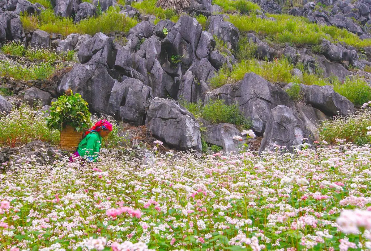 Gợi &yacute; lịch tr&igrave;nh H&agrave; Giang tự t&uacute;c 2N1Đ bằng xe m&aacute;y chi tiết nhất 2