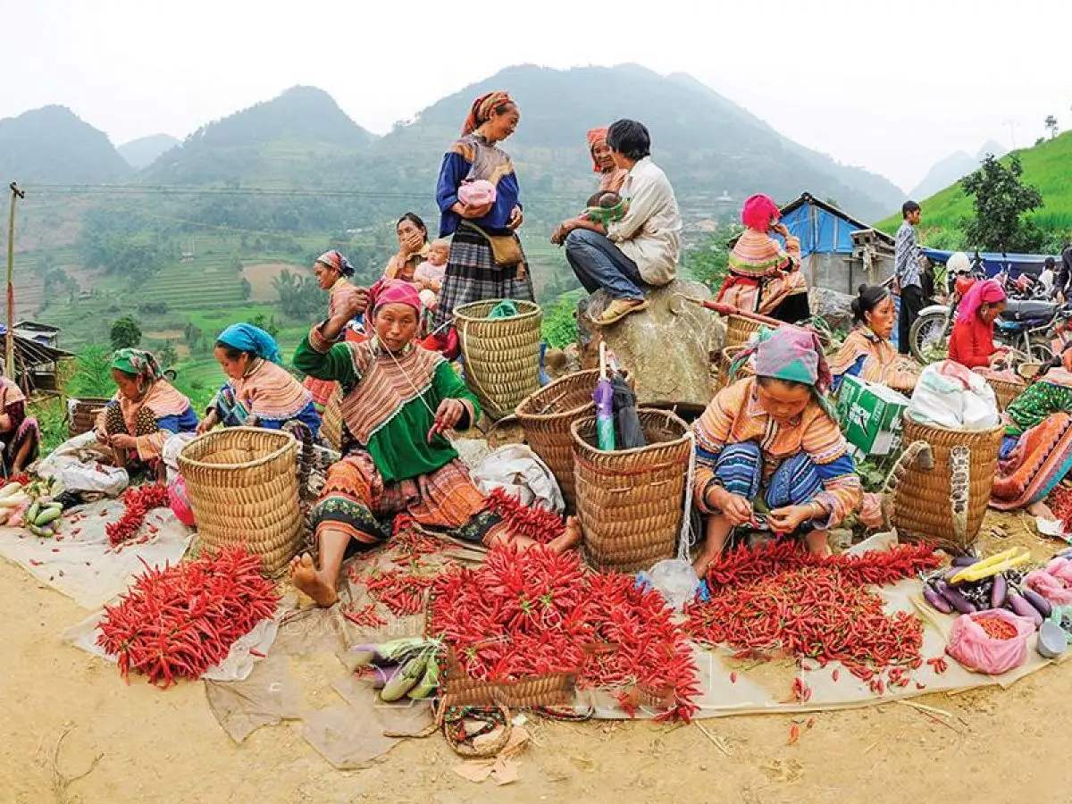 Gợi &yacute; lịch tr&igrave;nh H&agrave; Giang tự t&uacute;c 2N1Đ bằng xe m&aacute;y chi tiết nhất 4