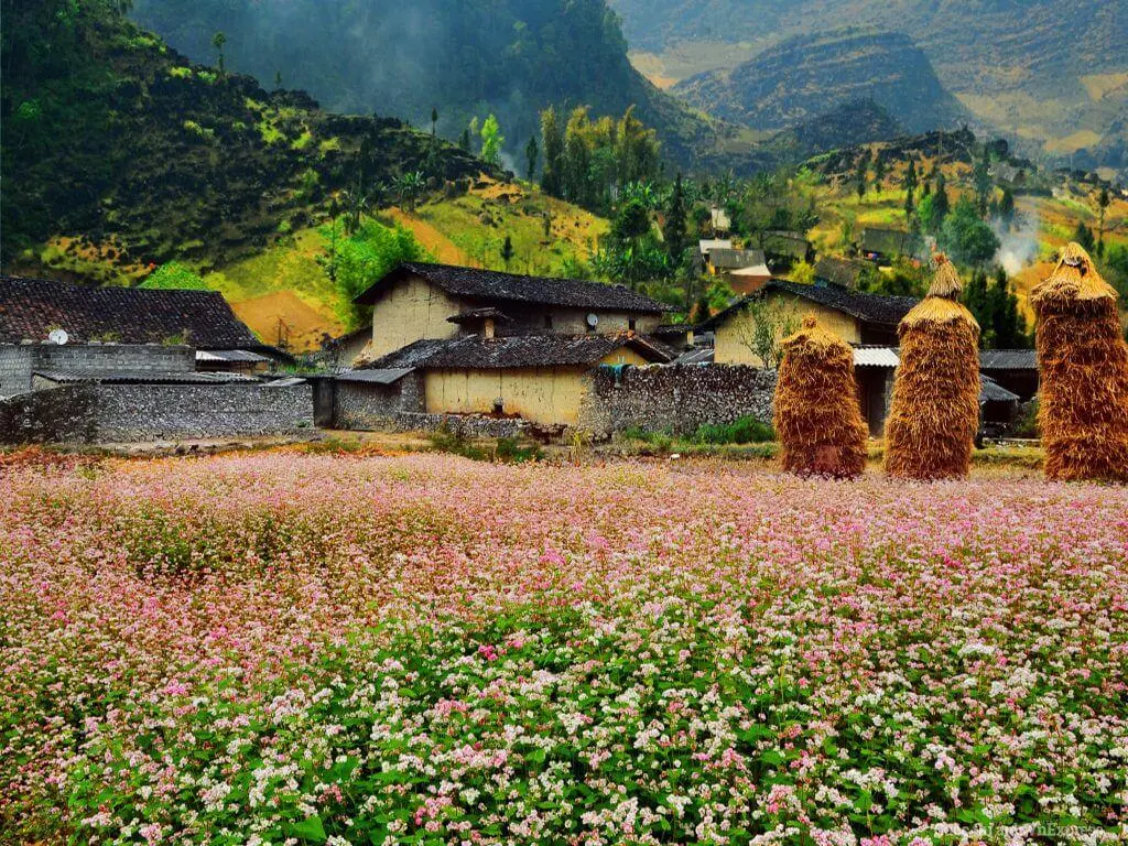 Gợi &yacute; lịch tr&igrave;nh H&agrave; Giang tự t&uacute;c 2N2Đ l&yacute; tưởng 6