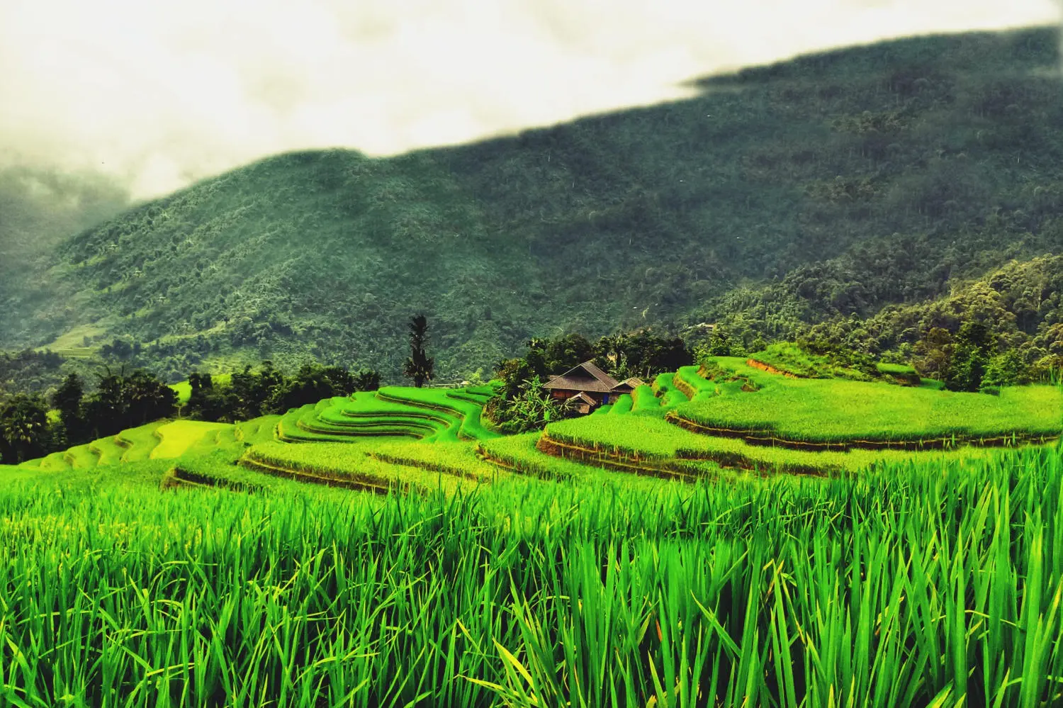 Gợi ý lịch trình phượt Hà Giang tự túc 3N2Đ 18